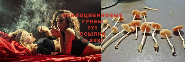 винт Медвежьегорск