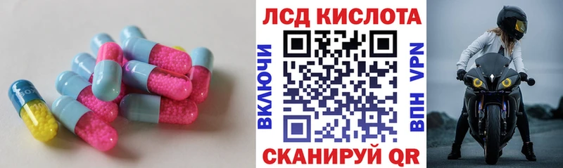 купить закладку  Чкаловск  сайты даркнета как зайти  ЛСД экстази кислота 