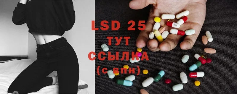 купить наркотики цена  блэк спрут вход  Лсд 25 экстази ecstasy  Чкаловск 