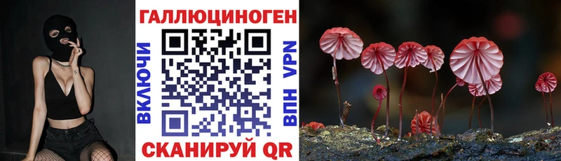Галлюциногенные грибы MAGIC MUSHROOMS  что такое наркотик  МЕГА tor  Чкаловск 